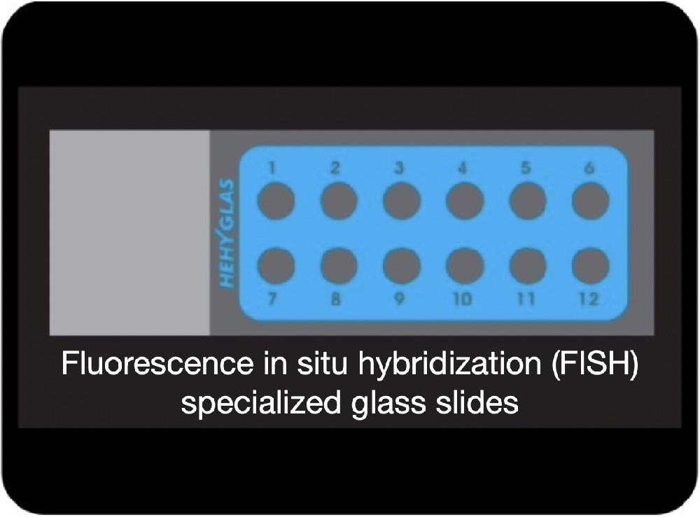 FISH specialized microscope slides